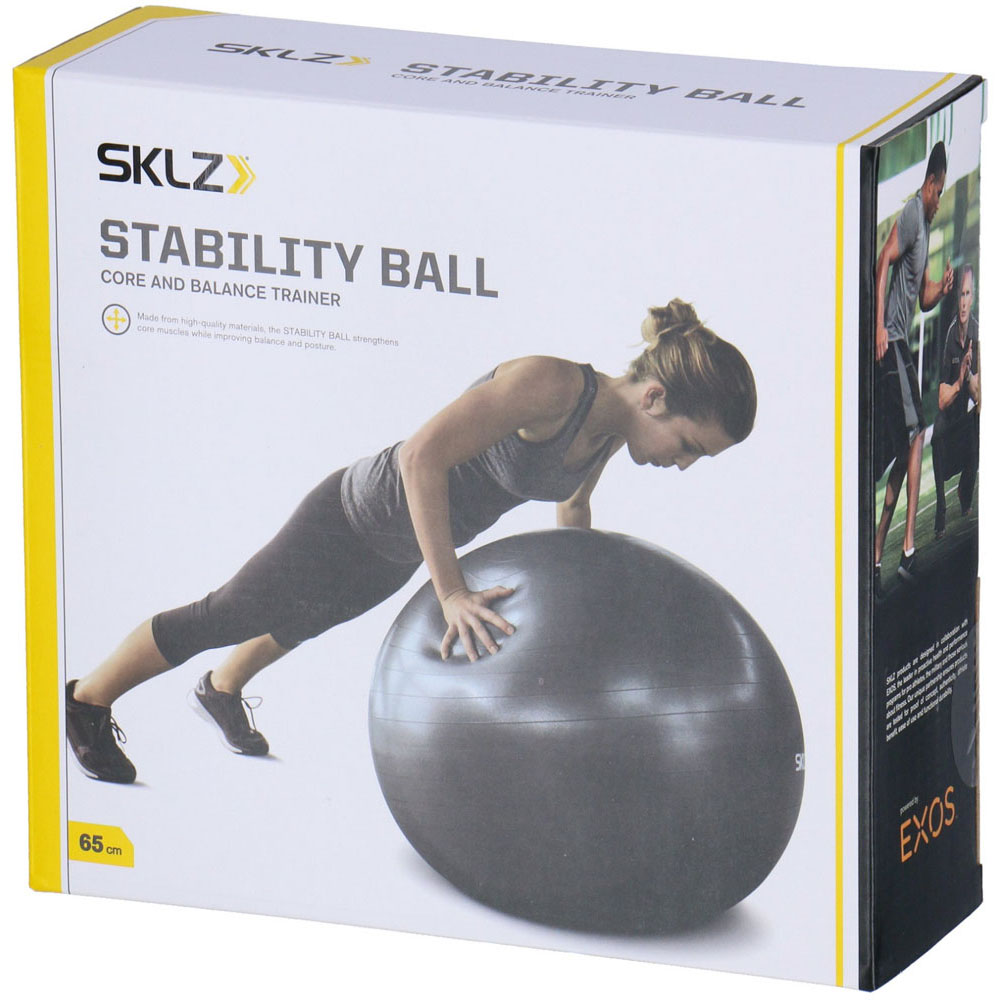 バランスボール スタビリティボール 65cm STABILITY BALL