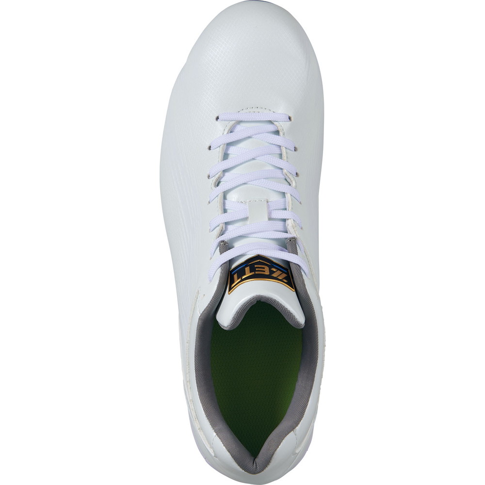 埋込みスパイク ネオステイタスWH