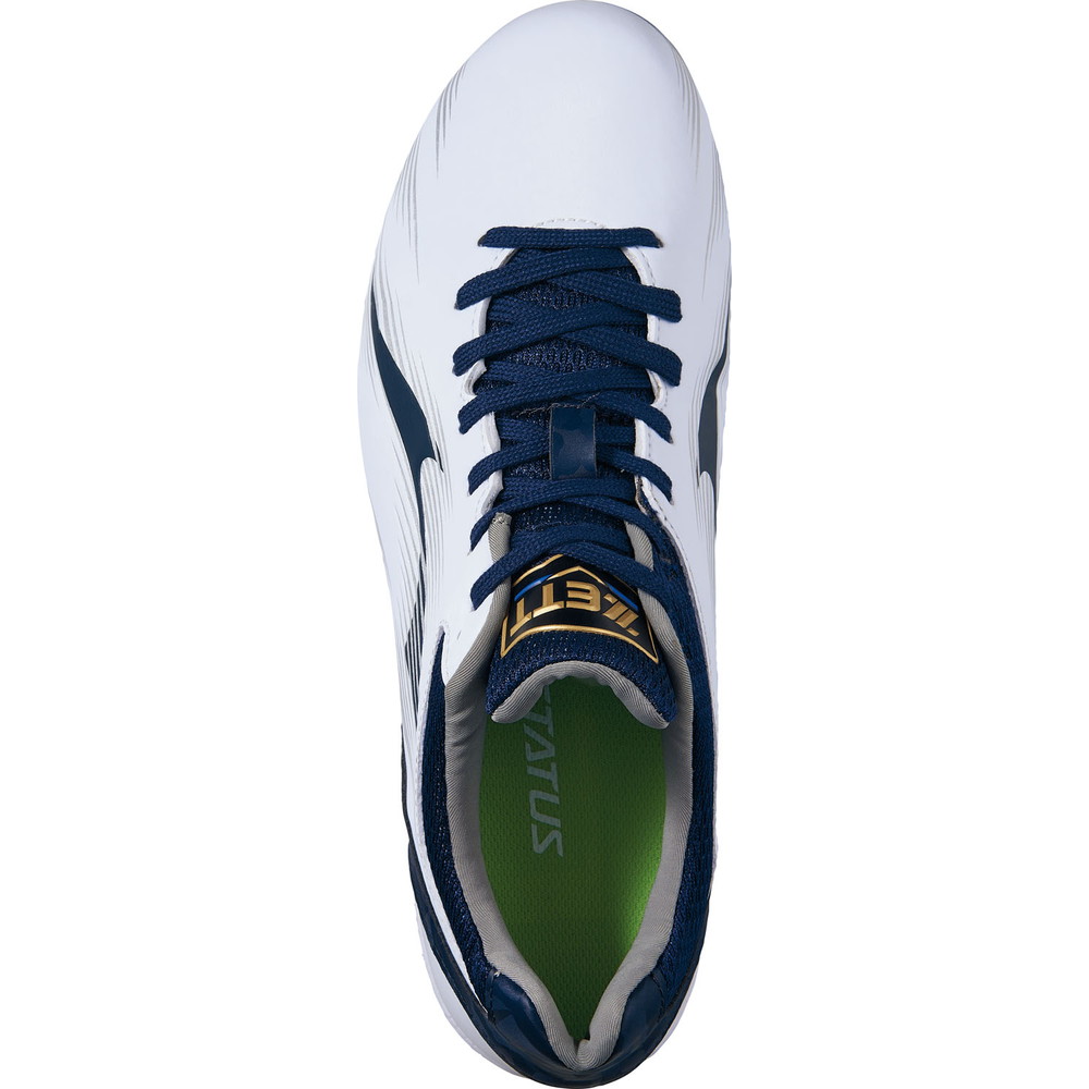 埋込みスパイク ネオステイタスCR