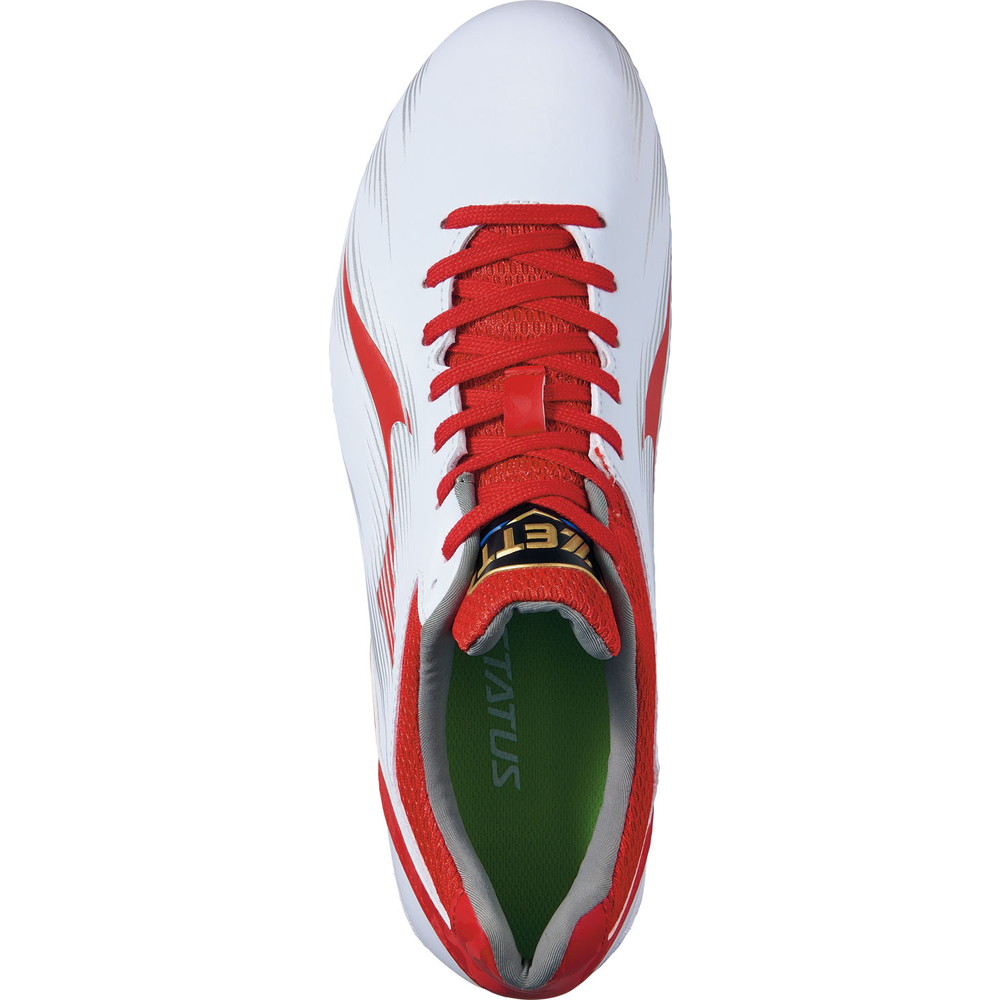 埋込みスパイク ネオステイタスCR